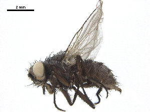  ( - BIOUG26545-E02)  @13 [ ] CreativeCommons - Attribution (2019) CBG Photography Group Centre for Biodiversity Genomics