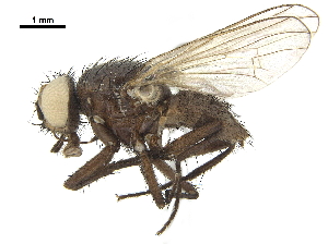  ( - BIOUG26545-E05)  @11 [ ] CreativeCommons - Attribution (2019) CBG Photography Group Centre for Biodiversity Genomics