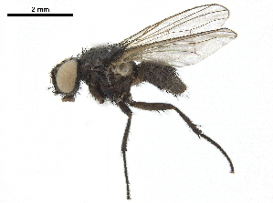  ( - BIOUG26545-E07)  @11 [ ] CreativeCommons - Attribution (2019) CBG Photography Group Centre for Biodiversity Genomics