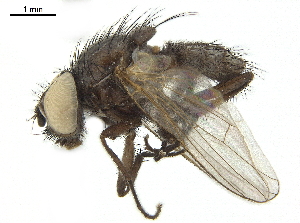  ( - BIOUG26545-E09)  @11 [ ] CreativeCommons - Attribution (2019) CBG Photography Group Centre for Biodiversity Genomics