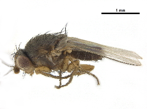 ( - BIOUG26545-G12)  @11 [ ] CreativeCommons - Attribution (2019) CBG Photography Group Centre for Biodiversity Genomics