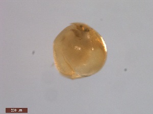  ( - BIOUG00335-C08)  @12 [ ] Unspecified (default): All Rights Reserved  Unspecified Unspecified