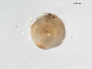  ( - BIOUG00919-D09)  @12 [ ] Unspecified (default): All Rights Reserved  Unspecified Unspecified