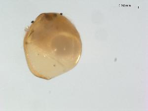  ( - BIOUG00923-D07)  @12 [ ] Unspecified (default): All Rights Reserved  Unspecified Unspecified