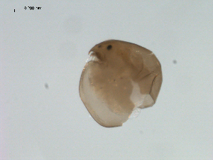  ( - BIOUG00923-D11)  @12 [ ] Unspecified (default): All Rights Reserved  Unspecified Unspecified