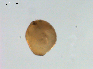  ( - BIOUG00923-D12)  @12 [ ] Unspecified (default): All Rights Reserved  Unspecified Unspecified