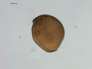  ( - BIOUG00923-E01)  @12 [ ] Unspecified (default): All Rights Reserved  Unspecified Unspecified