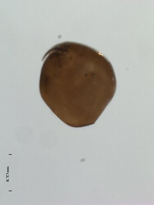  ( - BIOUG00923-E02)  @12 [ ] Unspecified (default): All Rights Reserved  Unspecified Unspecified