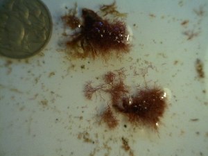  ( - GWS023007)  @11 [ ] Unspecified (default): All Rights Reserved  Unspecified Unspecified