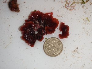  ( - GWS023182)  @11 [ ] Unspecified (default): All Rights Reserved  Unspecified Unspecified