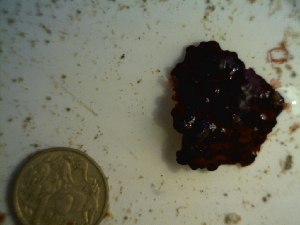  ( - GWS023387)  @11 [ ] Unspecified (default): All Rights Reserved  Unspecified Unspecified