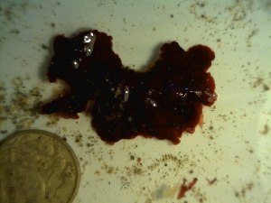  ( - GWS023596)  @11 [ ] Unspecified (default): All Rights Reserved  Unspecified Unspecified