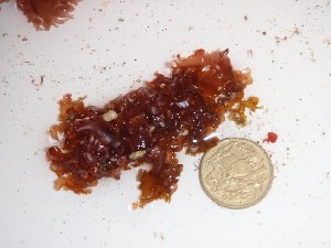  ( - GWS023868)  @11 [ ] Unspecified (default): All Rights Reserved  Unspecified Unspecified