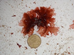  ( - GWS024620)  @11 [ ] Unspecified (default): All Rights Reserved  Unspecified Unspecified