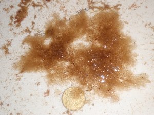  ( - GWS025264)  @11 [ ] Unspecified (default): All Rights Reserved  Unspecified Unspecified