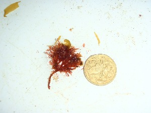  ( - GWS032687)  @11 [ ] Unspecified (default): All Rights Reserved  Unspecified Unspecified