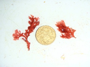  ( - GWS032689)  @11 [ ] Unspecified (default): All Rights Reserved  Unspecified Unspecified