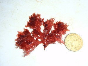  ( - GWS032772)  @11 [ ] Unspecified (default): All Rights Reserved  Unspecified Unspecified