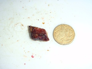  ( - GWS033977)  @11 [ ] Unspecified (default): All Rights Reserved  Unspecified Unspecified