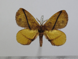  ( - BC-Basq 2821)  @13 [ ] Copyright (2011) Patrick Basquin Research Collection of Patrick Basquin