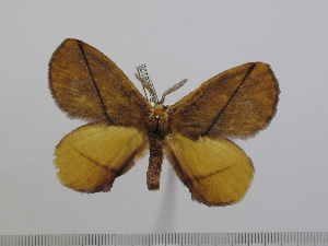  ( - BC-Basq 2822)  @12 [ ] Copyright (2011) Patrick Basquin Research Collection of Patrick Basquin