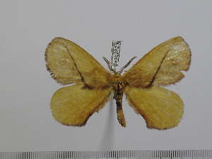  ( - BC-Basq 2823)  @13 [ ] Copyright (2011) Patrick Basquin Research Collection of Patrick Basquin