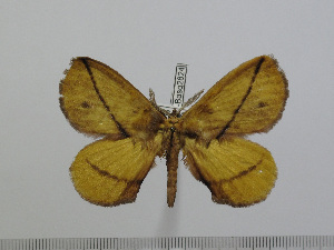  ( - BC-Basq 2824)  @12 [ ] Copyright (2011) Patrick Basquin Research Collection of Patrick Basquin