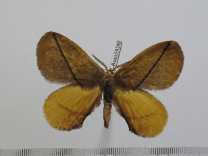  ( - BC-Basq 2826)  @13 [ ] Copyright (2011) Patrick Basquin Research Collection of Patrick Basquin