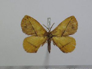  ( - BC-Basq 2827)  @12 [ ] Copyright (2011) Patrick Basquin Research Collection of Patrick Basquin