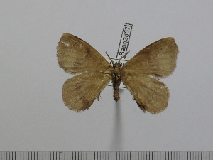  ( - BC-Basq 2857)  @11 [ ] Copyright (2011) Patrick Basquin Research Collection of Patrick Basquin