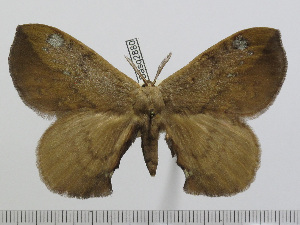  ( - BC-Basq 2880)  @11 [ ] Copyright (2011) Patrick Basquin Research Collection of Patrick Basquin