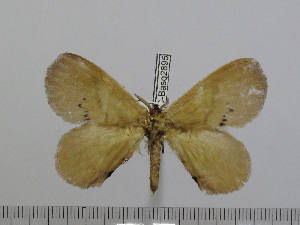  ( - BC-Basq 2895)  @13 [ ] Copyright (2011) Patrick Basquin Research Collection of Patrick Basquin