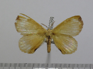  ( - BC-Basq 2896)  @11 [ ] Copyright (2011) Patrick Basquin Research Collection of Patrick Basquin