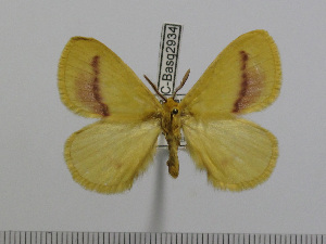  ( - BC-Basq 2934)  @13 [ ] Copyright (2011) Patrick Basquin Research Collection of Patrick Basquin