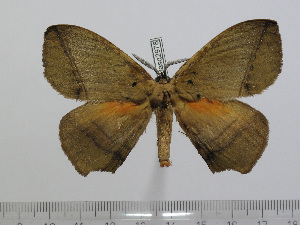  ( - BC-Basq 2978)  @13 [ ] Copyright (2011) Patrick Basquin Research Collection of Patrick Basquin