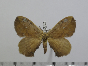  ( - BC-Basq 2877)  @11 [ ] Copyright (2011) Patrick Basquin Research Collection of Patrick Basquin