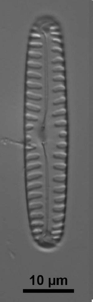  ( - MIT7 1)  @11 [ ] Copyright (2014) Pieter Vanormelingen Ghent University