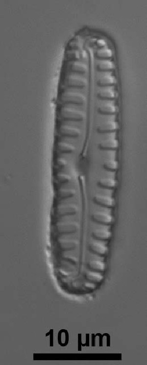  ( - MIT7 2)  @11 [ ] Copyright (2014) Pieter Vanormelingen Ghent University