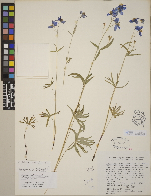  ( - CCDB-24912-A11)  @11 [ ] CreativeCommons - Attribution (2014) Linda Jennings University of British Columbia