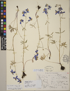  ( - CCDB-24912-C11)  @11 [ ] CreativeCommons - Attribution (2014) Linda Jennings University of British Columbia