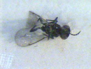  ( - CLV14308)  @12 [ ] Unspecified (default): All Rights Reserved  Unspecified Unspecified