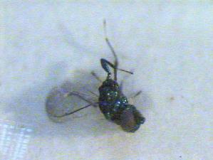  ( - CLV14508)  @12 [ ] Unspecified (default): All Rights Reserved  Unspecified Unspecified