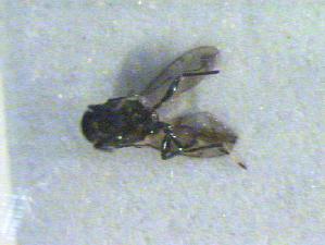  ( - CLV14908)  @12 [ ] Unspecified (default): All Rights Reserved  Unspecified Unspecified