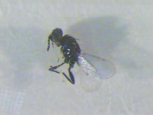  ( - CLV16708)  @12 [ ] Unspecified (default): All Rights Reserved  Unspecified Unspecified