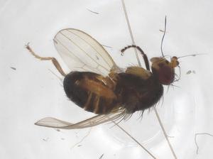  ( - CBG-A63050-H06)  @11 [ ] CreativeCommons - Attribution Share - Alike (2025) Centre for Biodiversity Genomics Centre for Biodiversity Genomics