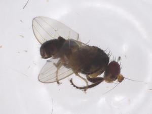  ( - CBG-A63380-H05)  @11 [ ] CreativeCommons - Attribution Share - Alike (2025) Centre for Biodiversity Genomics Centre for Biodiversity Genomics