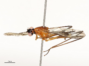  ( - CBG-A67888-B09)  @11 [ ] CreativeCommons - Attribution Share - Alike (2025) CBG Photography Group Centre for Biodiversity Genomics