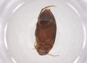  ( - CBG-B00353-C09)  @11 [ ] CreativeCommons - Attribution Share - Alike (2025) Centre for Biodiversity Genomics Centre for Biodiversity Genomics