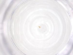  ( - CBG-B20154-H04)  @11 [ ] CreativeCommons - Attribution Share - Alike (2025) Centre for Biodiversity Genomics Centre for Biodiversity Genomics