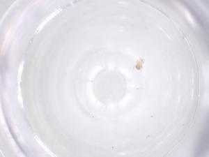  ( - CBG-B20155-A05)  @11 [ ] CreativeCommons - Attribution Share - Alike (2025) Centre for Biodiversity Genomics Centre for Biodiversity Genomics